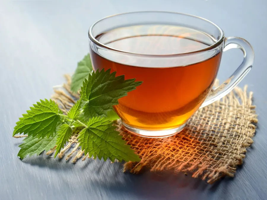 Taza de té de hierbas con hojas de menta